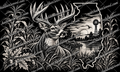 Illinois Whitetail Buck – 20 oz Engraved Tumbler